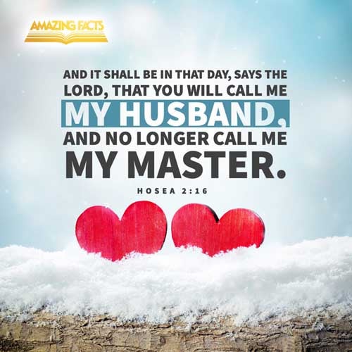 ஸ்டாண்டார்ட் பைபிள்