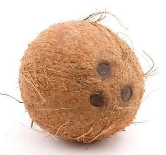 தேங்காய் கண்