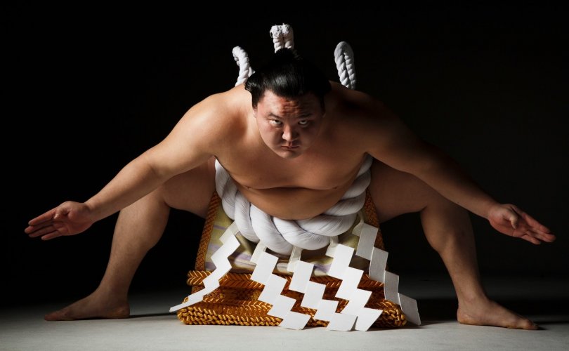 யோகோஸுனா ஹக்குஹோ ஷோ